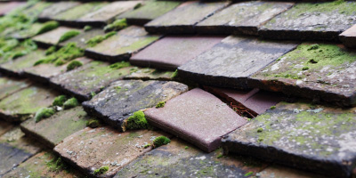 Laxton roof repair costs
